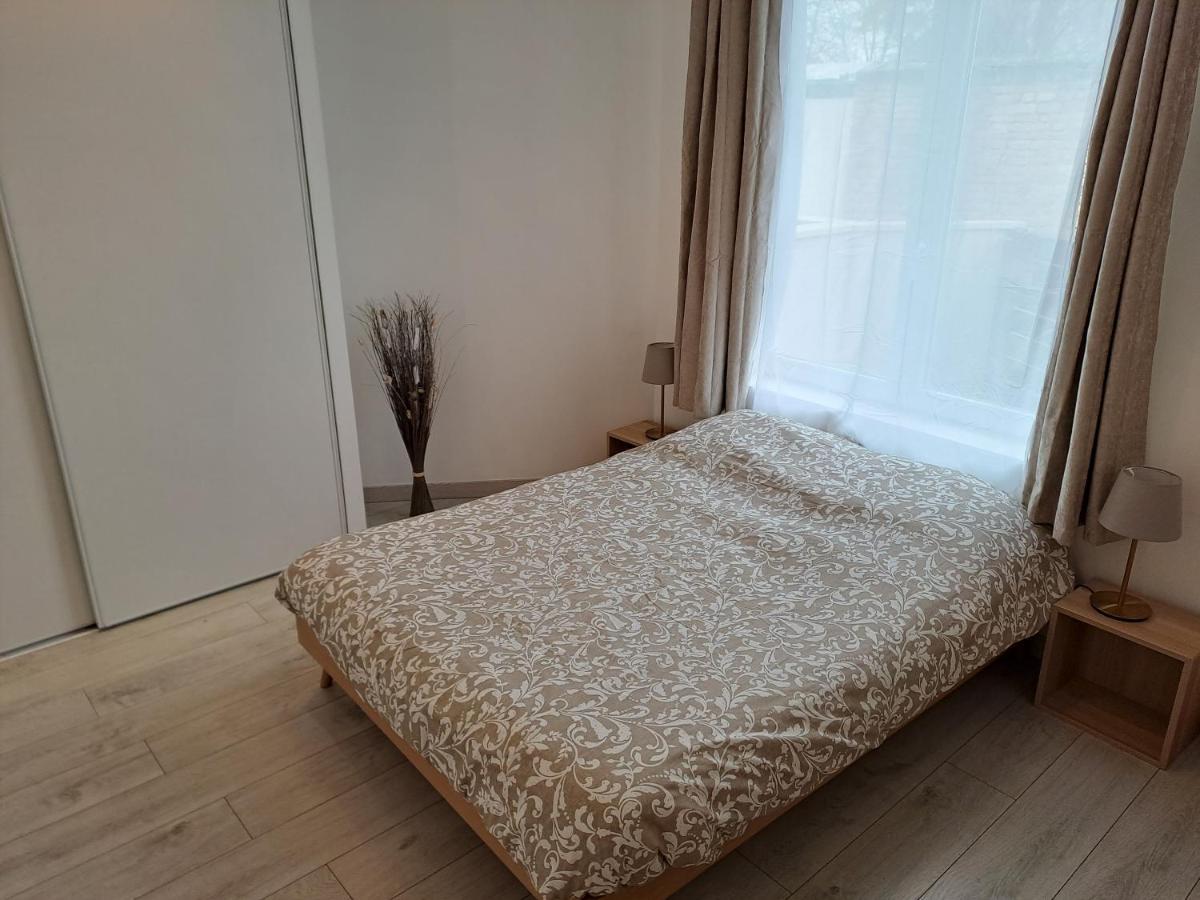 Bel Appartement Grande Terrasse Avec Parking A ديجون المظهر الخارجي الصورة