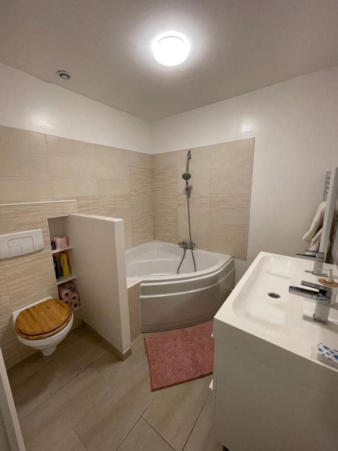 Bel Appartement Grande Terrasse Avec Parking A ديجون المظهر الخارجي الصورة
